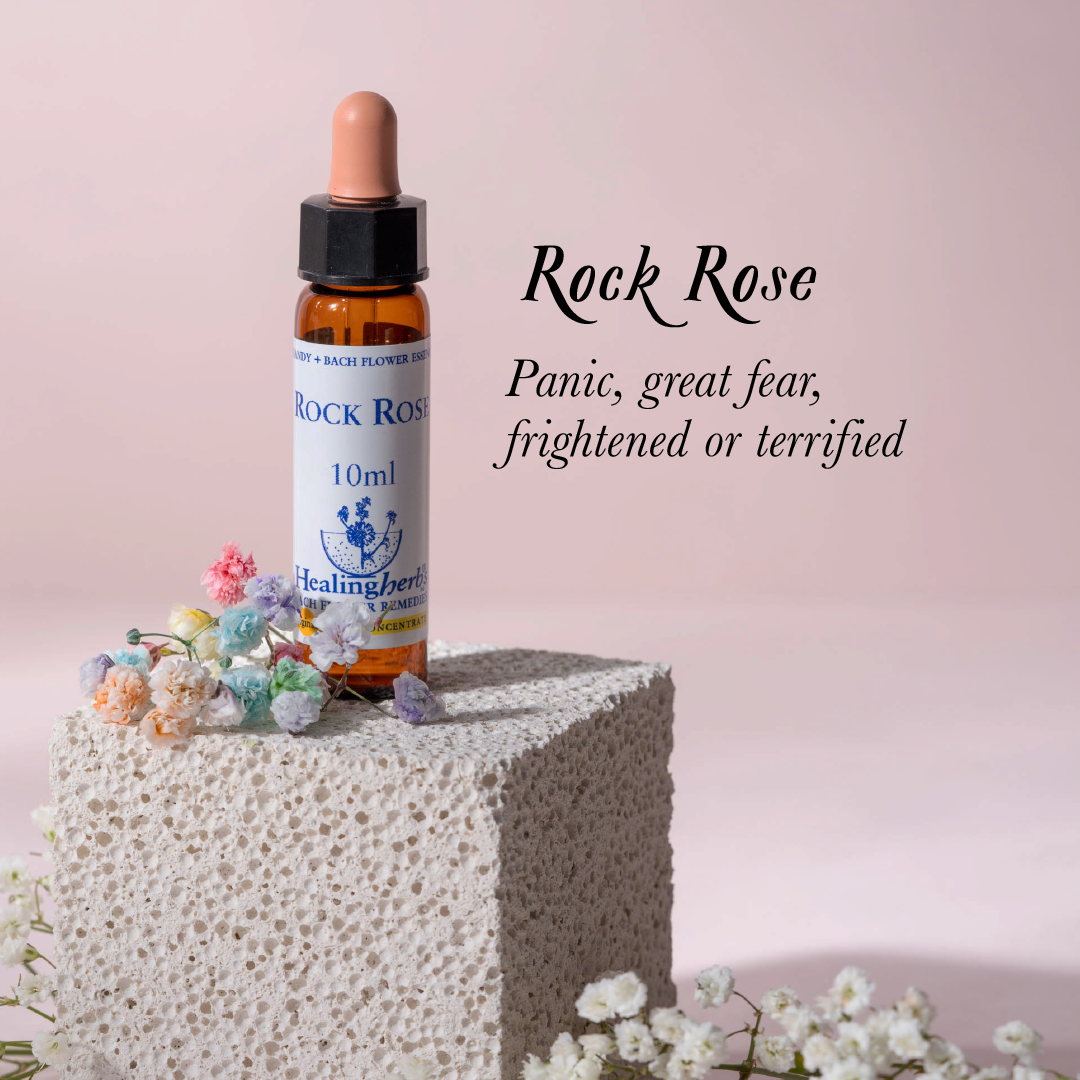 Rock Rose