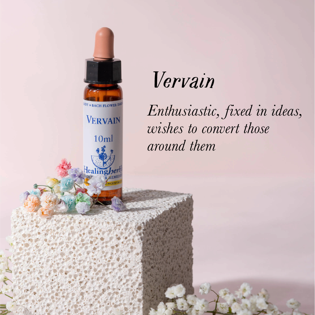 Vervain