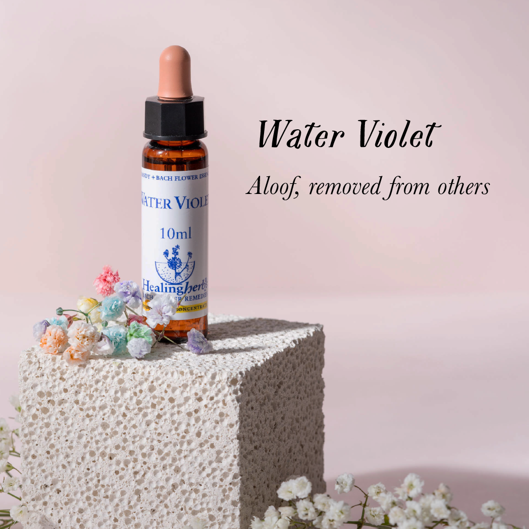 Water Violet